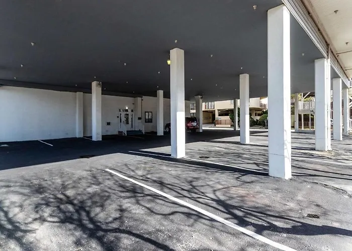 Just Imagine! Newly Renovated Ocean View 1br-1 Ba *