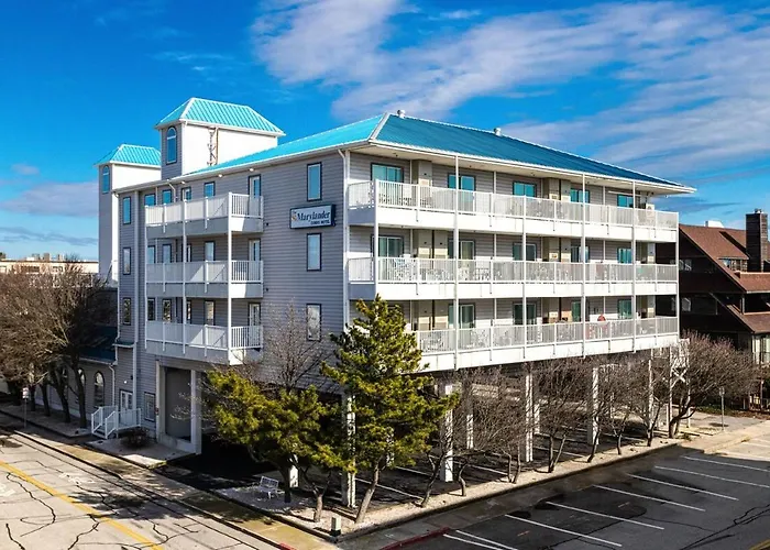 Apartment Just Imagine! Newly Renovated Ocean View 1br-1 Ba