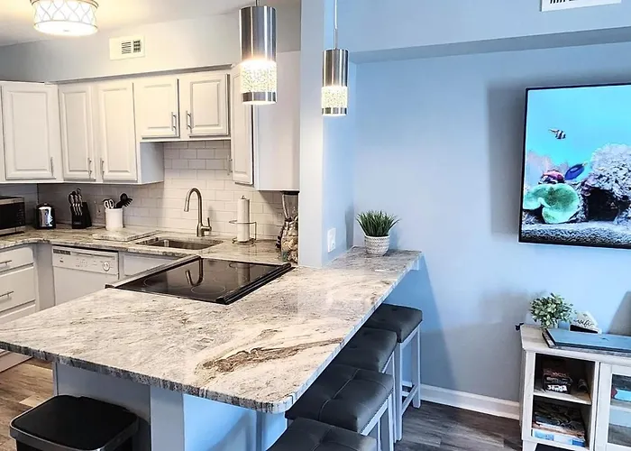 Just Imagine! Newly Renovated Ocean View 1br-1 Ba Apartment *